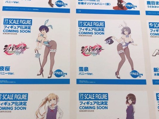 B-style 忍者大师 闪乱神乐: New Link 雪泉 兔女郎