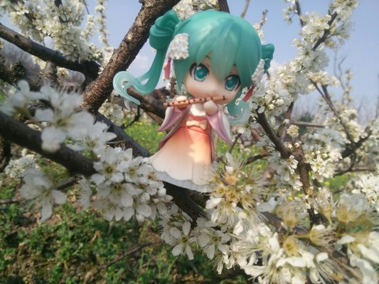 春日好
