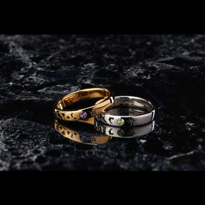 Statue and ring style CODE GEASS 叛逆的鲁鲁修 鲁路修・兰佩洛基&枢木朱雀