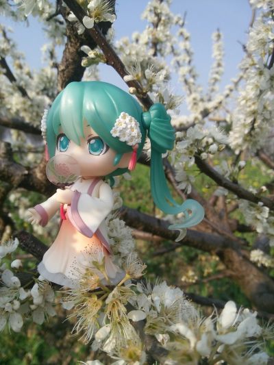 春日好
