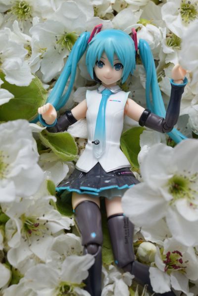 【梨花季】初音篇合集