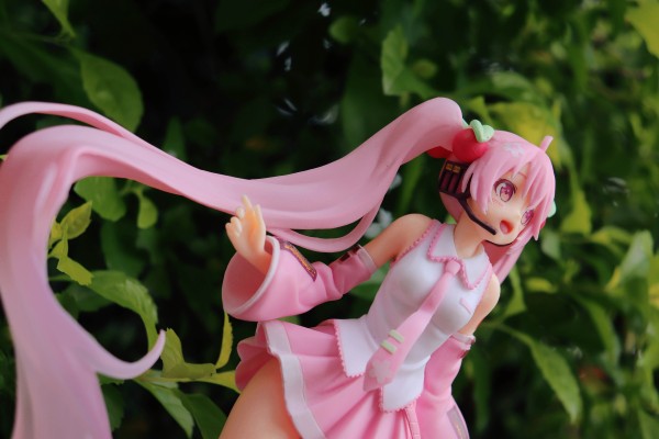 樱初音