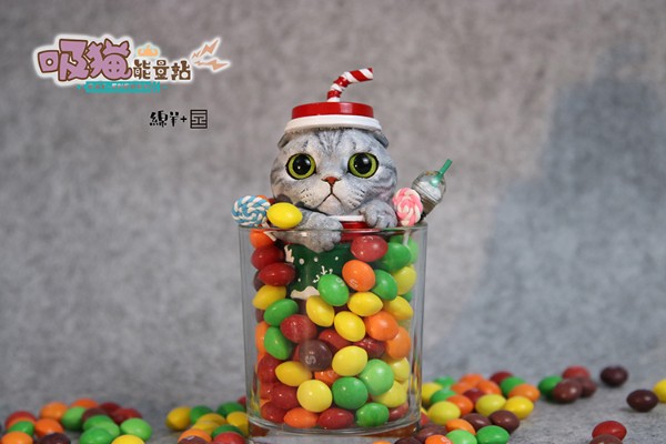 吸猫能量站