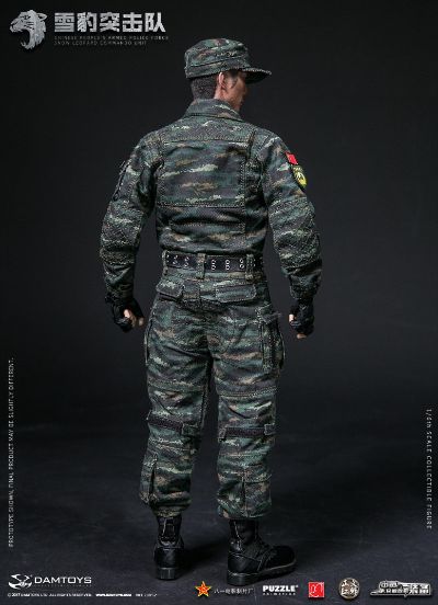 DAMTOYS 78052 1/6 中国人民武装警察部队特警部队 雪豹突击队 队员