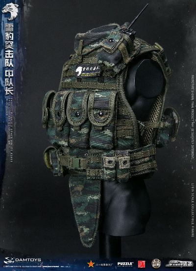 DAMTOYS 78053 1/6 中国人民武装警察部队特警部队 雪豹突击队 中队长
