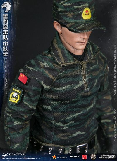 DAMTOYS 78053 1/6 中国人民武装警察部队特警部队 雪豹突击队 中队长