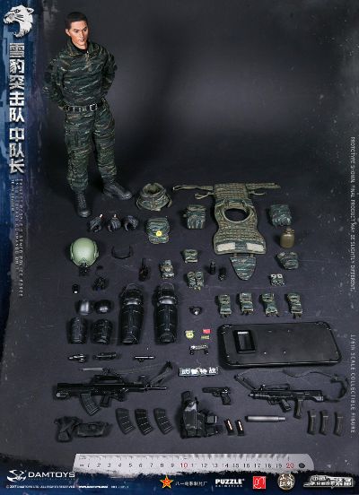 DAMTOYS 78053 1/6 中国人民武装警察部队特警部队 雪豹突击队 中队长