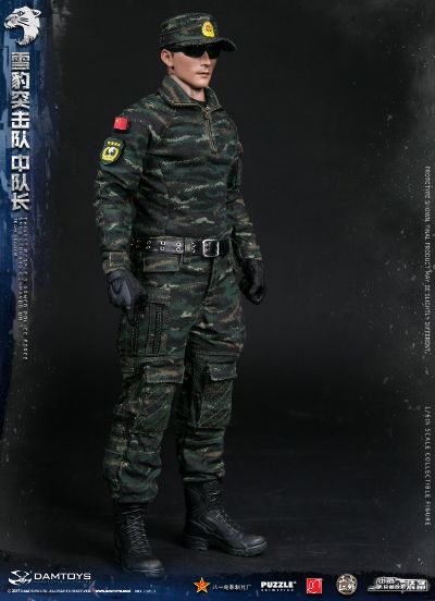 DAMTOYS 78053 1/6 中国人民武装警察部队特警部队 雪豹突击队 中队长