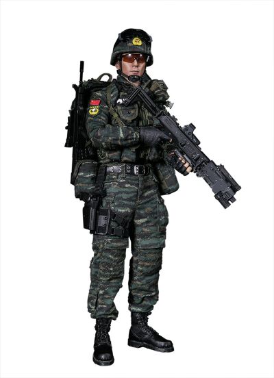 DAMTOYS 78052 1/6 中国人民武装警察部队特警部队 雪豹突击队 队员