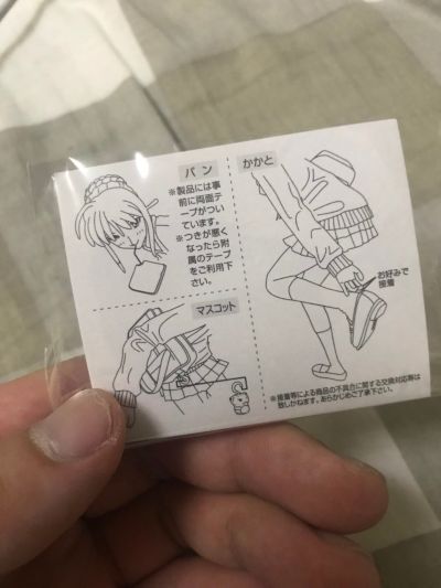 Fate/Stay Night SABER High School Girl Hobby Japan Exclusive