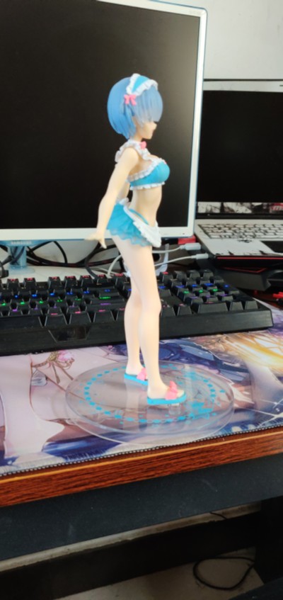 Precious Figure Re：从零开始的异世界生活 蕾姆 女仆泳装ver.