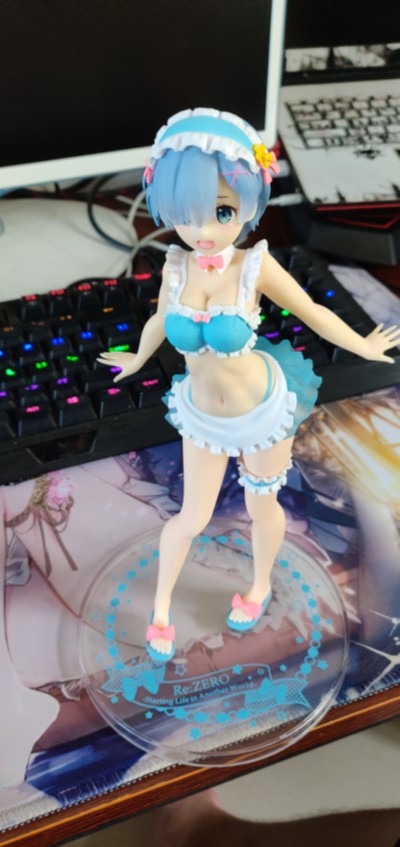 Precious Figure Re：从零开始的异世界生活 蕾姆 女仆泳装ver.