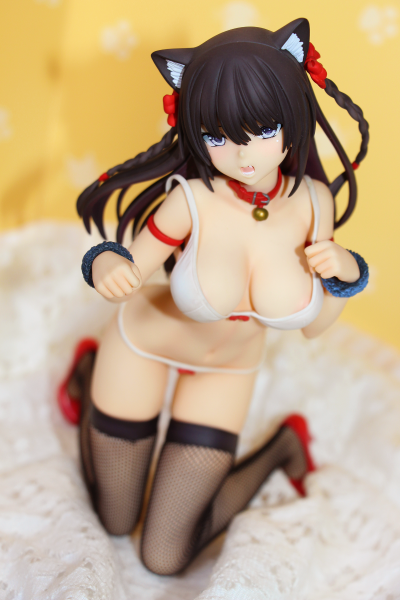 眼缘很久的一只猫娘