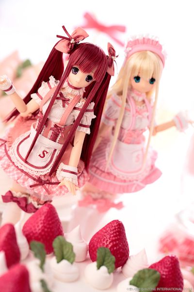 PureNeemo Direct Store ver. 