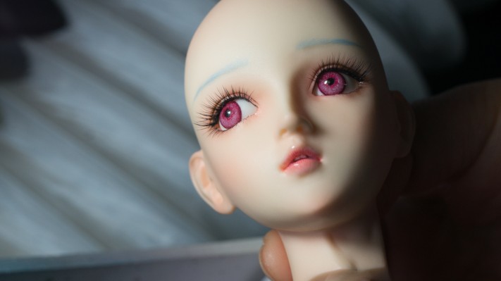 Volks 绝对领域 绫波丽