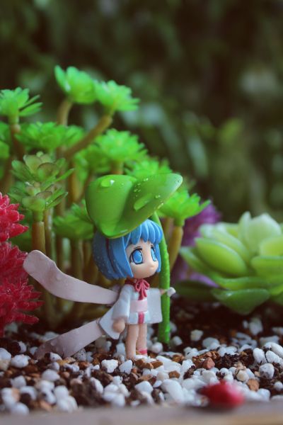 夏时雨