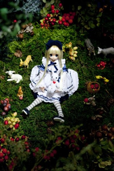 PureNeemo Classic Alice 