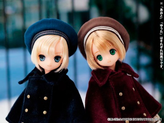 PureNeemo Winter 