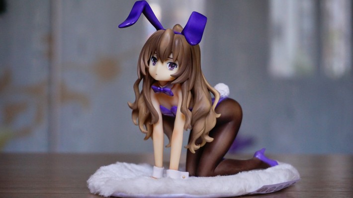 龙与虎 逢坂大河 兔女郎Ver.