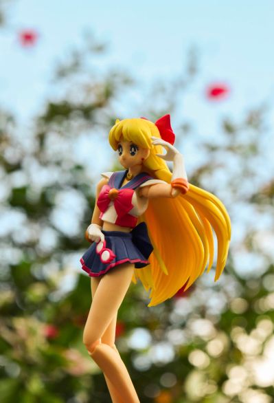 S.H.Figuarts 水兵V