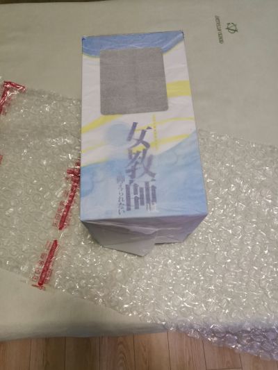 女教师的○○无法抑制 ともみ老师的密室教育