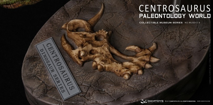DAMTOYS MUS012 博物馆系列 尖角龙Centrosaurus 头部收藏级雕像A B
