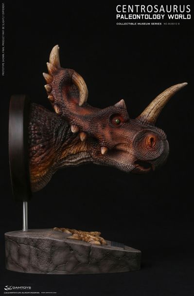 DAMTOYS MUS012 博物馆系列 尖角龙Centrosaurus 头部收藏级雕像A B