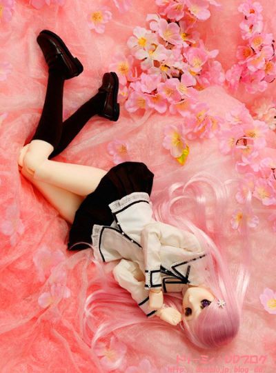 Dollfie Dream DD ToHeart2 XRATED 露西·玛莉亚·美空