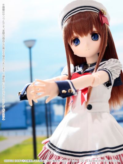 Iris Collect Petit 原创角色 ver. 1.1 
