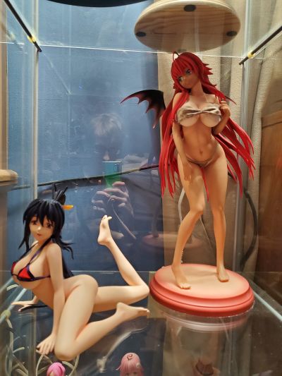 恶魔高中D×D 姫岛朱乃 泳装