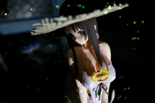 美咲诗绘 夏草
