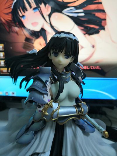 本命谦信姐到货(ง˃̀ꄃ˂́)۶