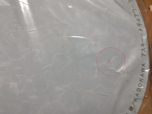 刀剑神域 结城明日奈 泳装