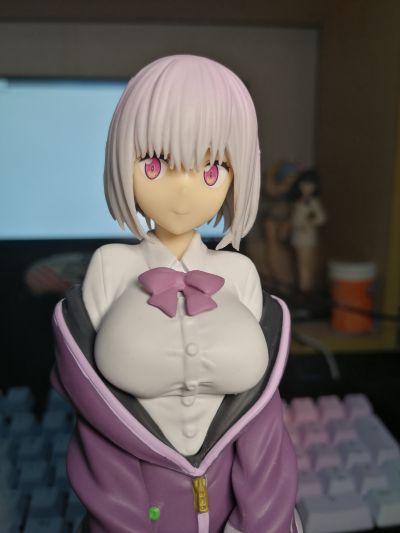 PM手办 SSSS.GRIDMAN 新条茜