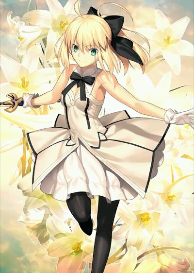 Fate/Grand Order Saber Lily