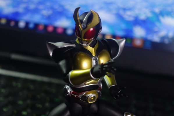 S.H.Figuarts（真骨雕制法） 假面骑士亚极陀 假面骑士亚极陀 大地形态