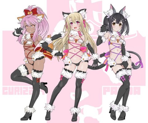 Fate/kaleid liner 魔法少女☆伊莉雅 伊莉雅斯菲尔·冯·爱因兹贝伦 Dangerous Beast