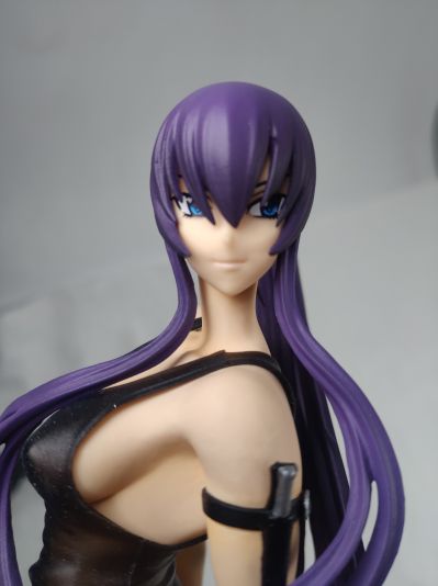 学园默示录 HIGHSCHOOL OF THE DEAD 毒岛冴子