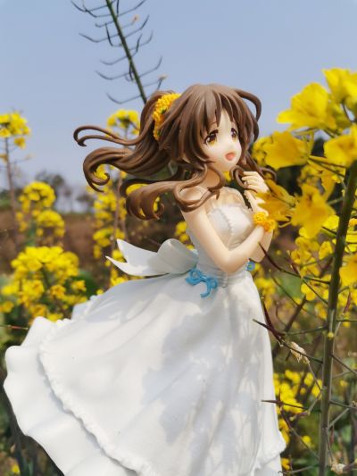 偶像大师灰姑娘