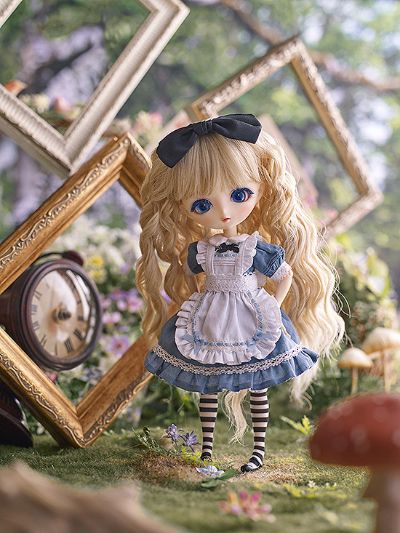 Harmonia bloom ALICE A