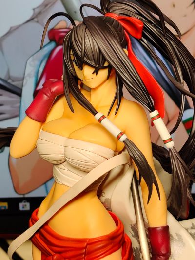一骑当千 关羽云长 Miko Ver.