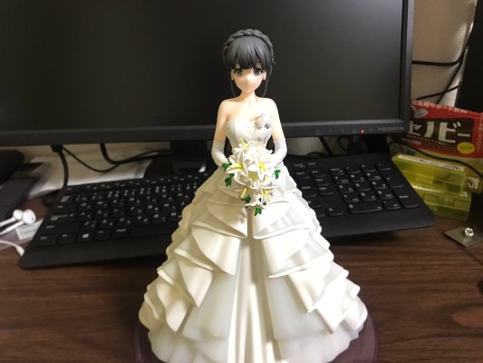 青春猪头少年不会梦到怀梦美少女 牧之原翔子 婚纱