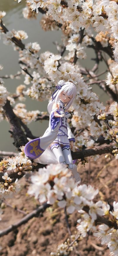 春日正好