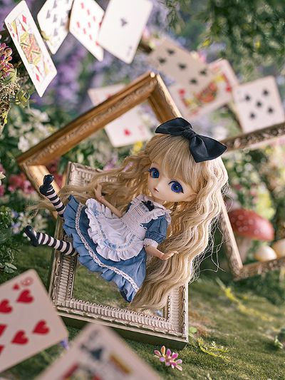 Harmonia bloom ALICE A