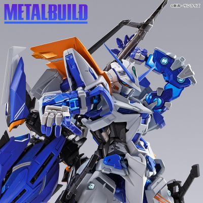 METAL BUILD 机动战士高达SEED VS ASTRAY   异端高达蓝色机二型R