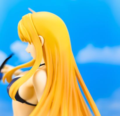 魔法少女奈叶StrikerS フェイト・Ｔ・ハラオウン－Summer holiday－