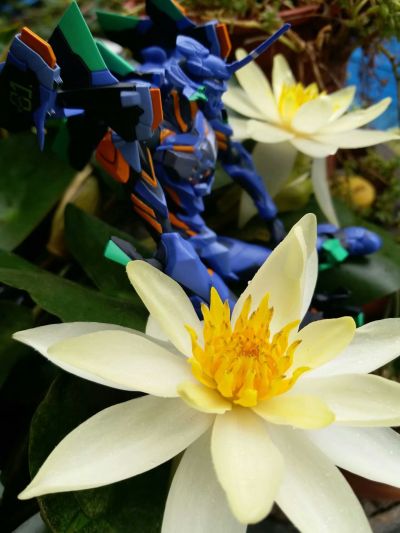 REVOLTECH Shin Seiki Evangelion ANIMA EVA初号机 Final Model 