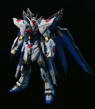 METAL BUILD 机动战士高达SEED Destiny ZGMF-X20A 强袭自由高达