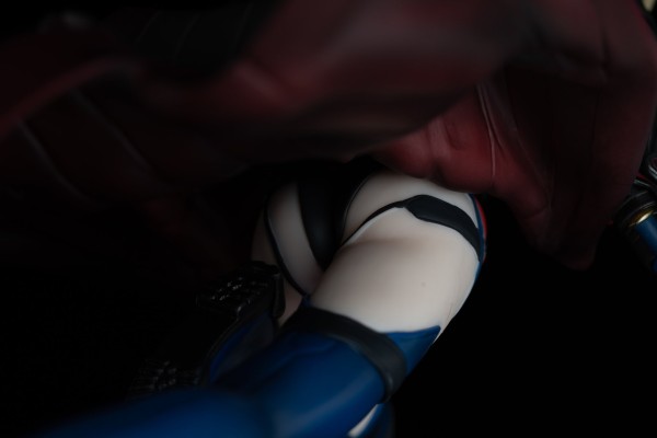 Fate/Grand Order 谜之女主角X Alter