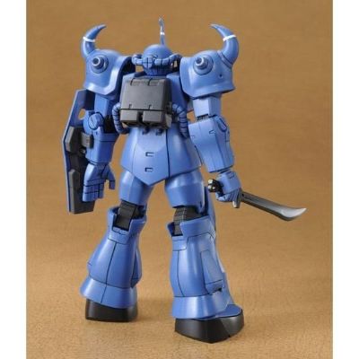 HGUC 机动战士高达外传 殖民地坠落之地 MS-07B 老虎 Visch Donahue Custom 